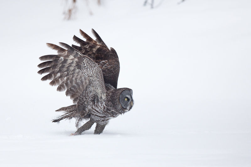 1/8000 sec at f / 3.2