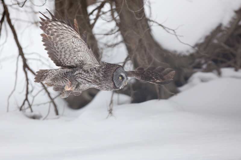 1/5000 sec at f / 3.2