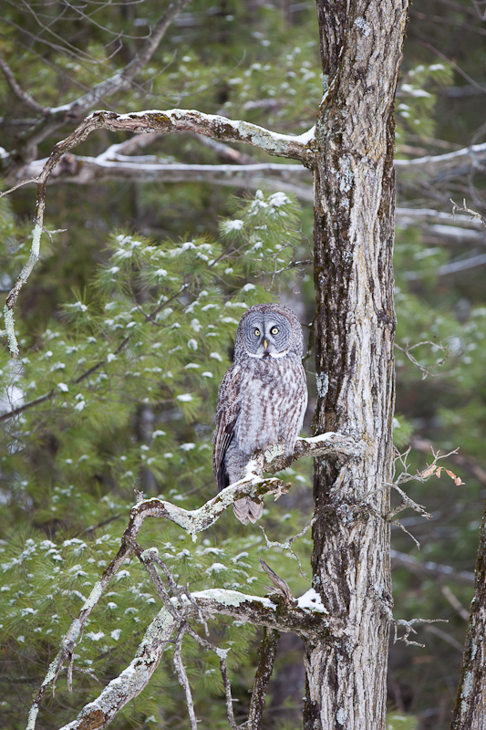1/400 sec at f / 4.0
