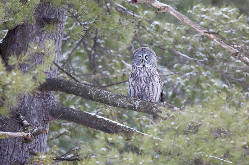 1/500 sec at f / 3.5