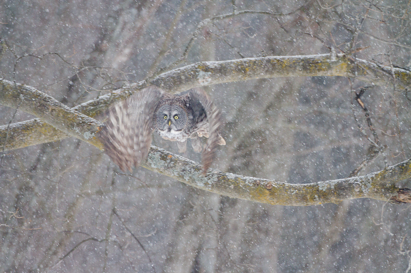 1/320 sec at f / 4.5