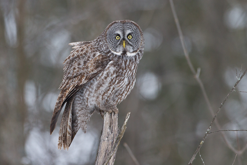 1/800 sec at f / 4.5