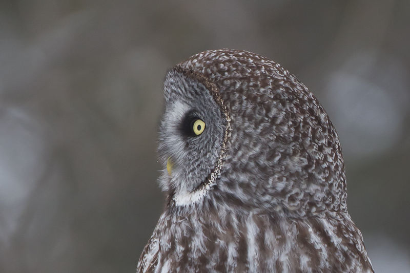 1/500 sec at f / 4.5