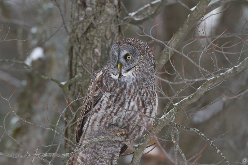 1/1250 sec at f / 5.6