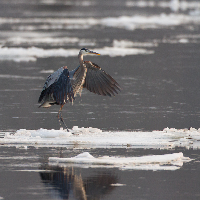 1/500 sec at f / 4.5