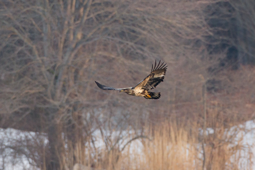 1/800 sec at f / 4.5