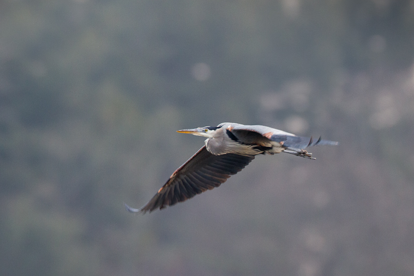 1/400 sec at f / 4.5