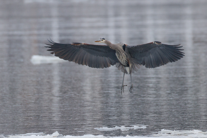 1/800 sec at f / 4.5