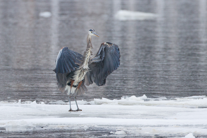 1/800 sec at f / 4.5