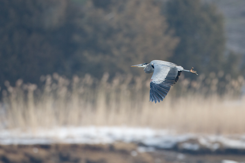 1/500 sec at f / 4.5