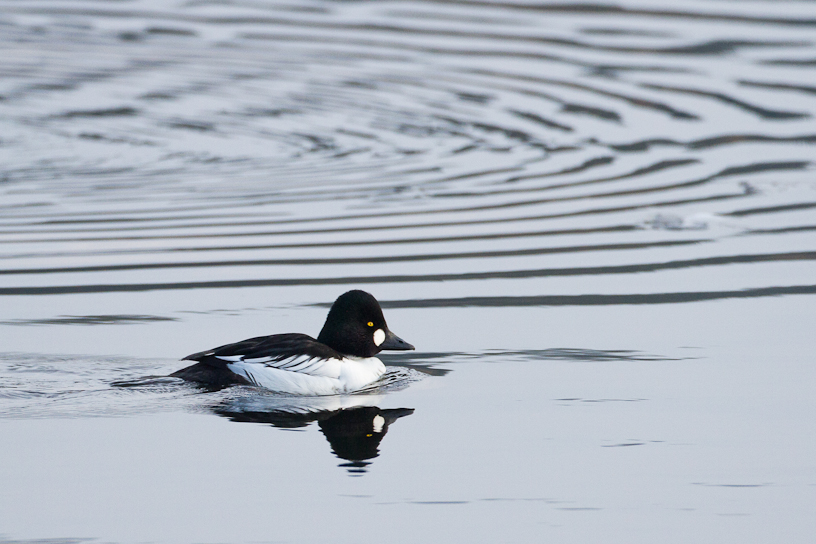 1/2000 sec at f / 4.5