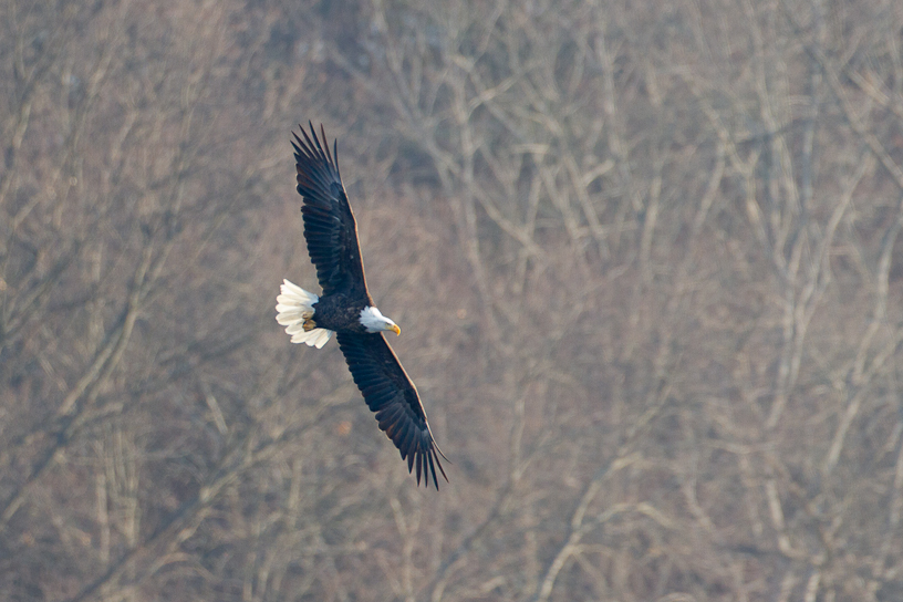 1/800 sec at f / 4.5