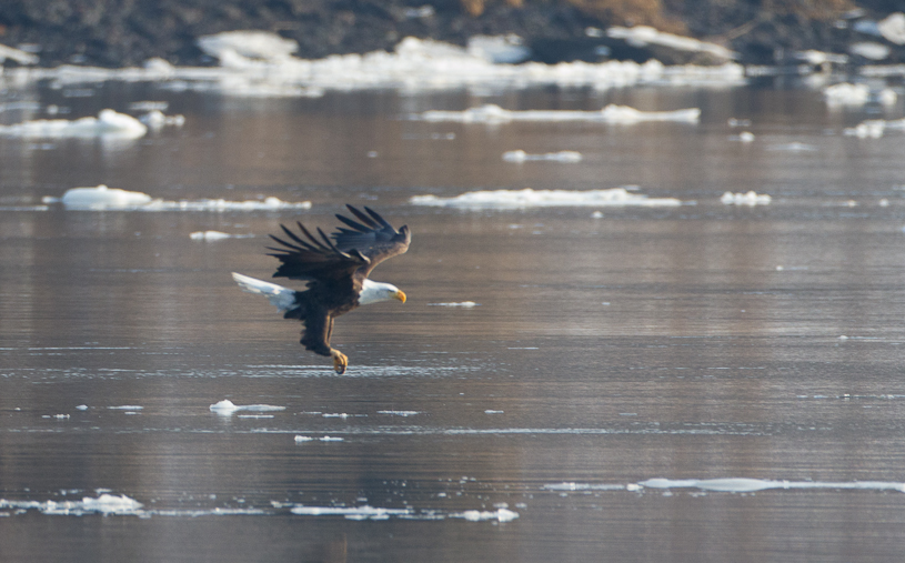 1/800 sec at f / 4.5