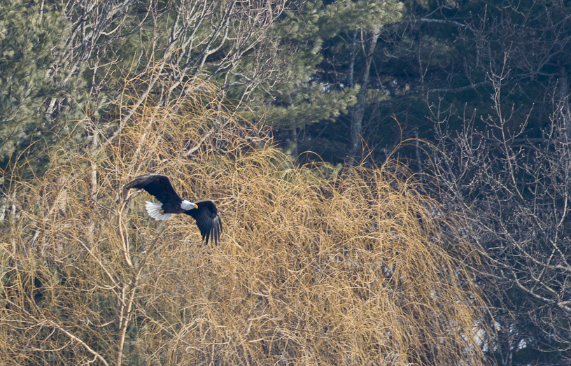 1/400 sec at f / 5.0
