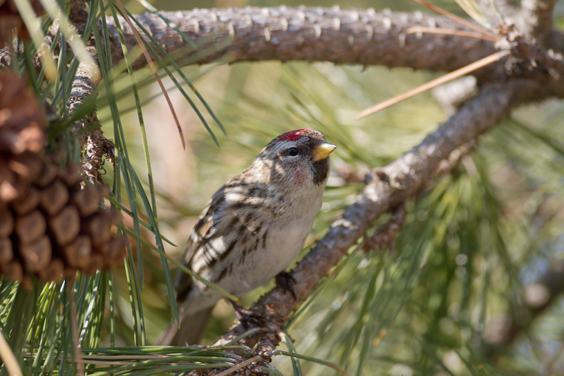 1/800 sec at f / 4.5