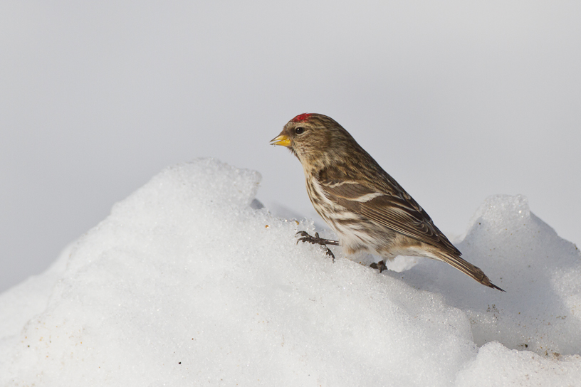 1/5000 sec at f / 5.0