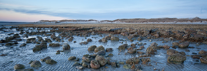 Canon EOS 5D Mark II - 12-24mm