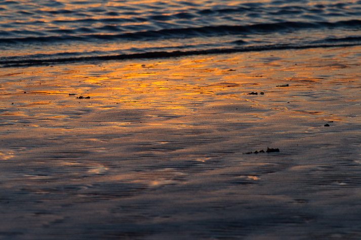 Canon EOS 7D - EF70-200mm f/4L USM