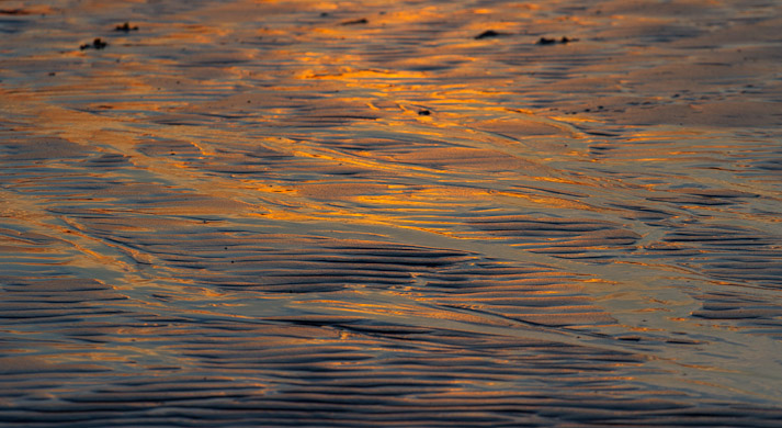 Canon EOS 7D - EF70-200mm f/4L USM