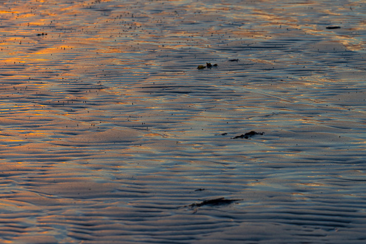 Canon EOS 7D - EF70-200mm f/4L USM