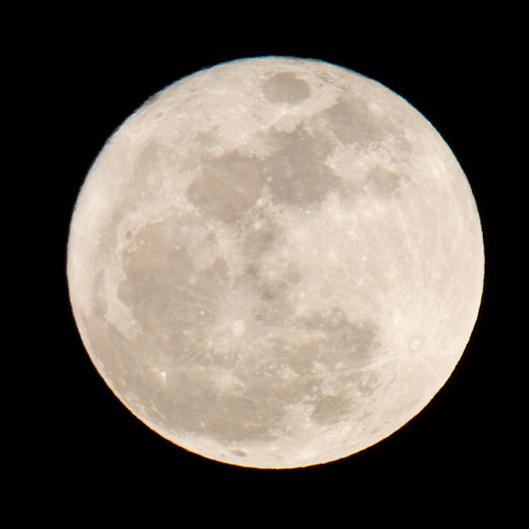 Canon EOS 7D - EF500mm f/4L IS USM