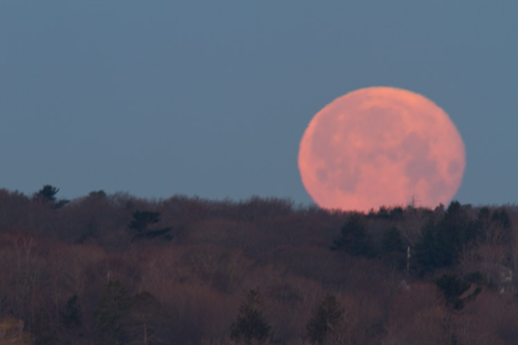 Canon EOS 7D - EF500mm f/4L IS USM