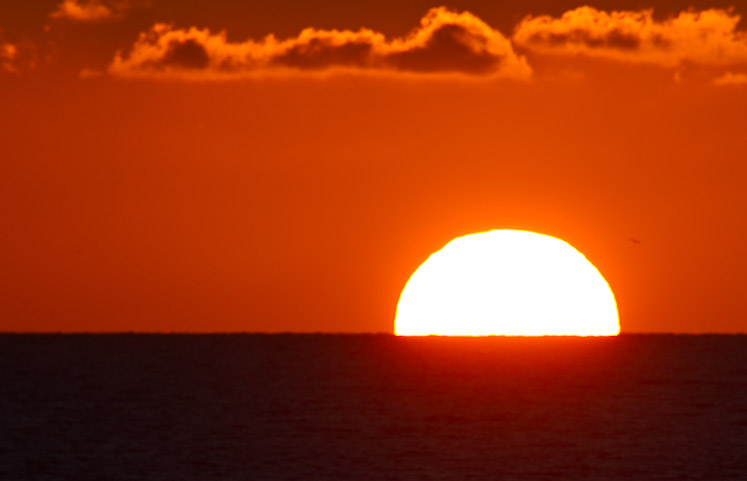 Canon EOS 7D - EF500mm f/4L IS USM