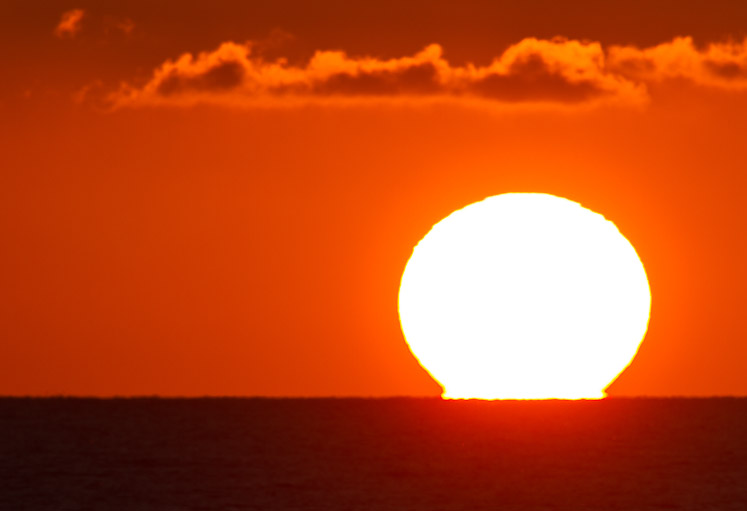 Canon EOS 7D - EF500mm f/4L IS USM
