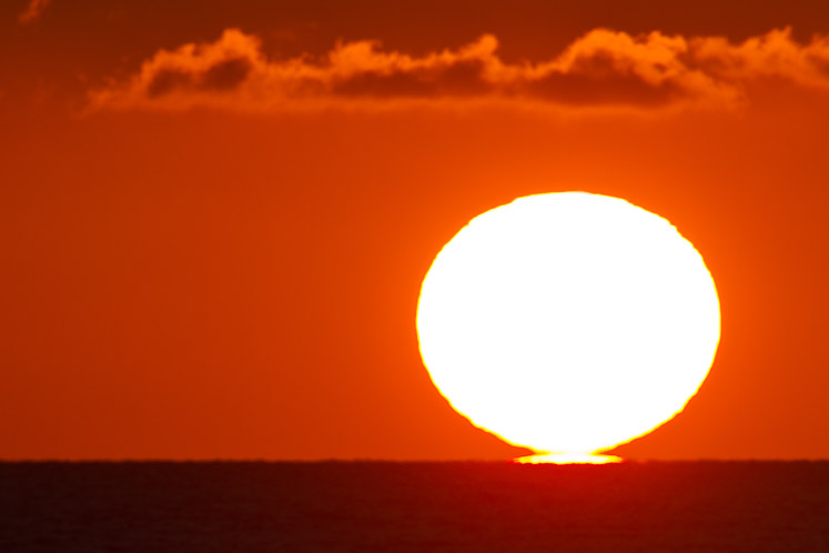 Canon EOS 7D - EF500mm f/4L IS USM