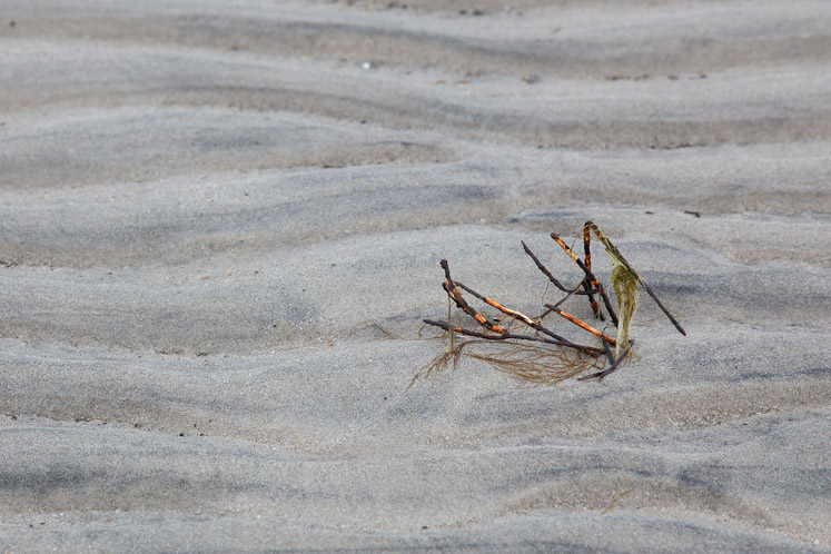 Canon EOS 5D Mark II - EF24-105mm f/4L IS USM