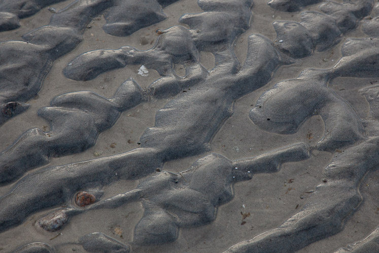 Canon EOS 5D Mark II - EF24-105mm f/4L IS USM