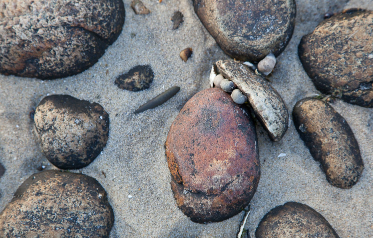 Canon EOS 5D Mark II - EF24-105mm f/4L IS USM