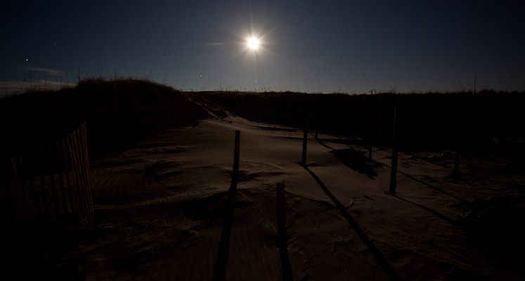 Canon EOS 5D Mark II - 12-24mm