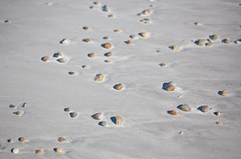 Canon EOS 5D Mark II - EF100mm f/2.8 Macro USM