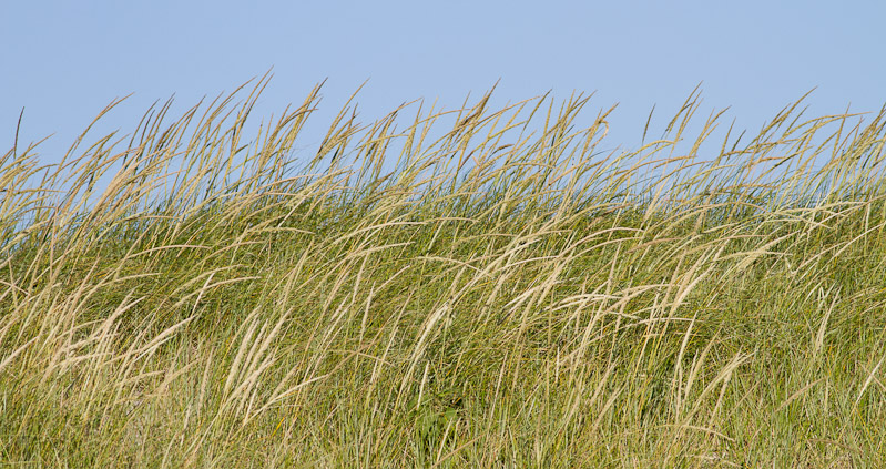 Canon EOS 7D - EF400mm f/5.6L USM