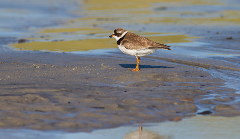 Canon EOS 7D - EF400mm f/5.6L USM