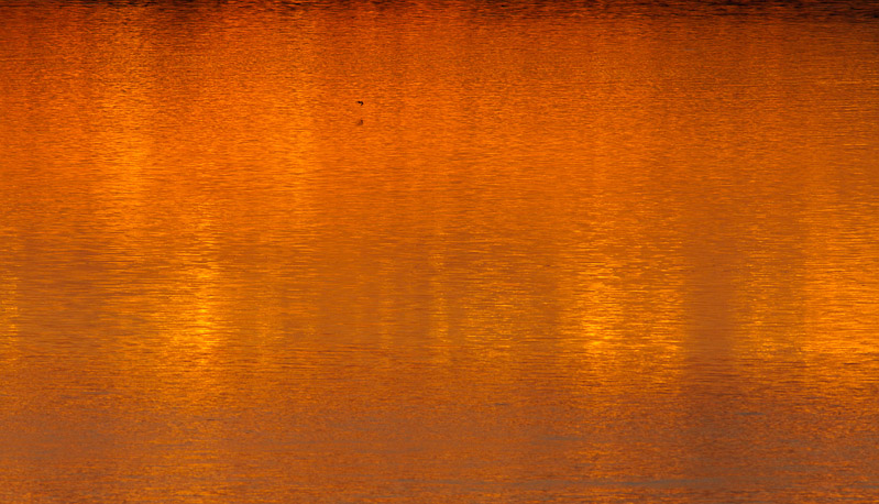 Canon EOS 7D - EF400mm f/5.6L USM