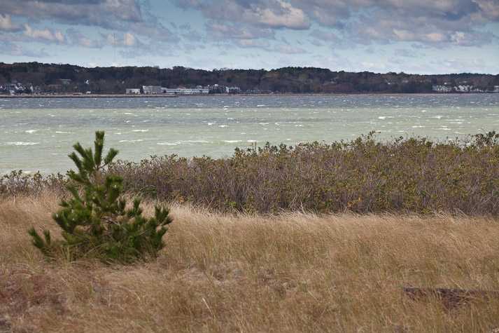 Canon EOS 5D Mark II - EF70-200mm f/4L USM