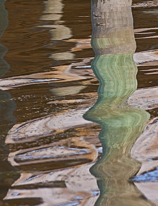 _MG_7527-Edit2