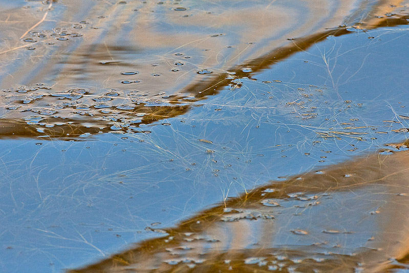 _MG_7531-Edit
