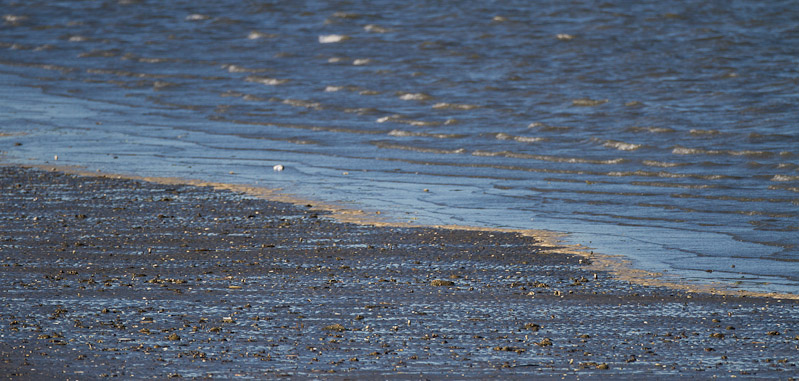 Canon EOS 7D - EF500mm f/4L IS USM