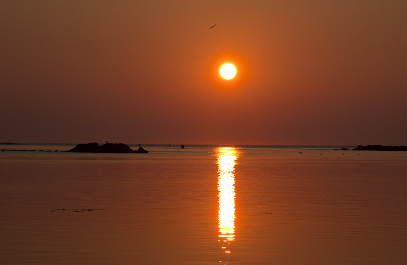 Canon EOS 5D Mark II - 24-135mm