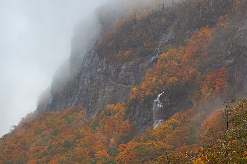 Canon EOS 5D Mark II - EF70-200mm f/4L USM