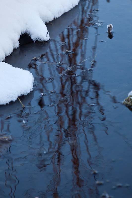 Canon EOS 5D Mark II - EF70-200mm f/4L USM