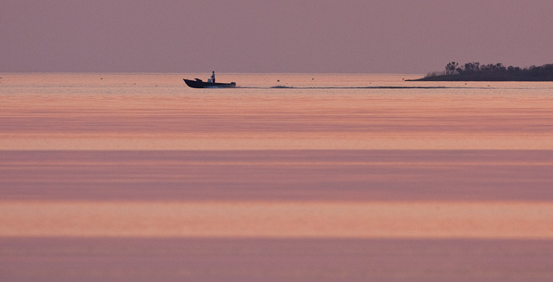 Canon EOS 40D - EF500mm f/4L IS USM