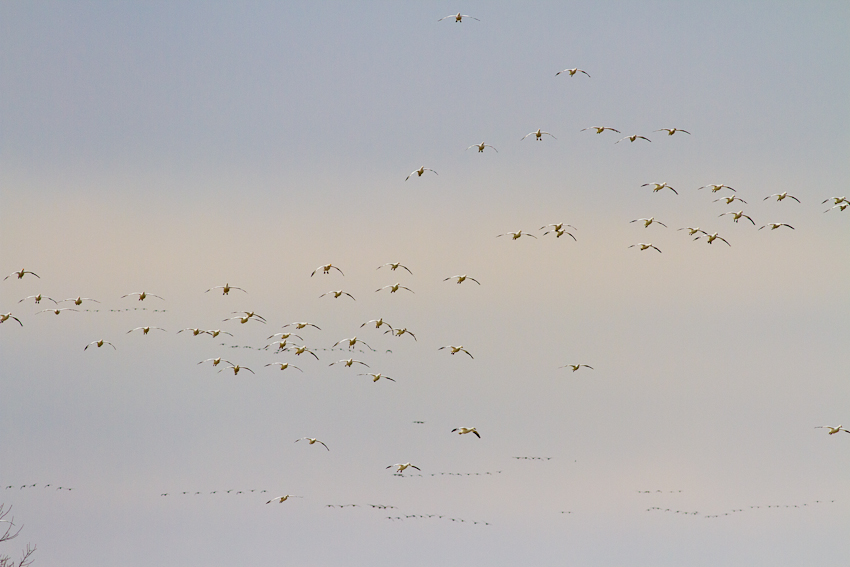 1/3200 sec at f / 6.3