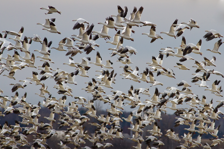 1/3200 sec at f / 6.3
