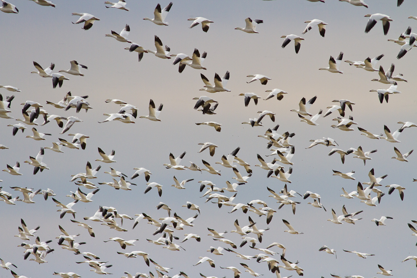 1/3200 sec at f / 6.3
