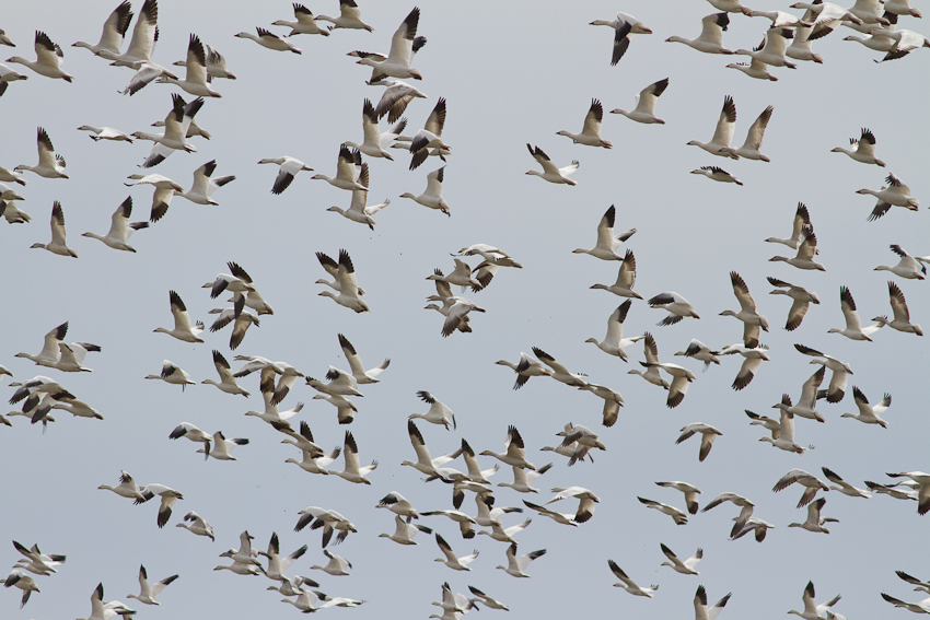 1/2000 sec at f / 6.3
