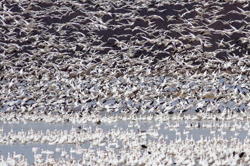1/1600 sec at f / 6.3